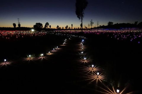 Uluru Field Of Light Sunrise Tour - Foster Accommodation 2