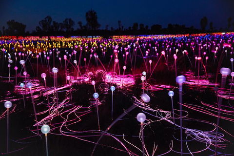 Uluru Field Of Light Sunrise Tour - Foster Accommodation 1