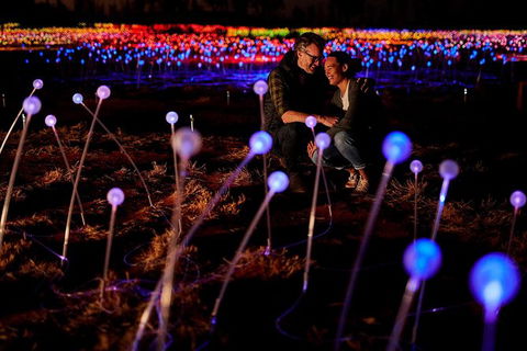 Uluru Field Of Light Sunrise Tour - Foster Accommodation 6