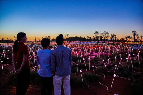 Uluru Field Of Light Sunrise Tour - Foster Accommodation 5