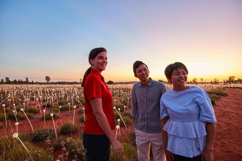Uluru Field Of Light Sunrise Tour - Foster Accommodation 11