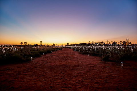 Uluru Field Of Light Sunrise Tour - Foster Accommodation 14