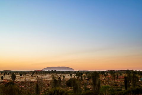 Uluru Field Of Light Sunrise Tour - Foster Accommodation 12