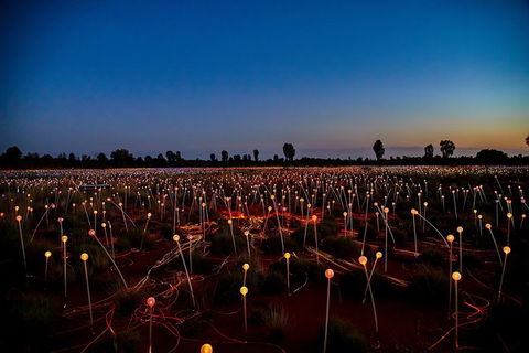 Uluru Field Of Light Sunrise Tour - Foster Accommodation 7