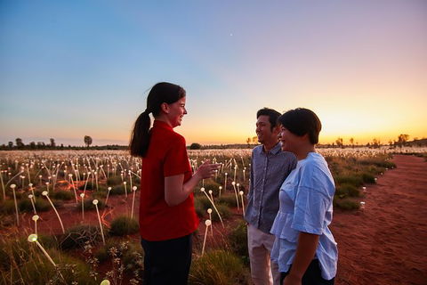 Uluru Field Of Light Sunrise Tour - Foster Accommodation 9