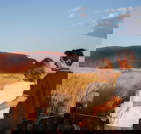Uluru Ayers Rock Sunset with Outback Barbecue Dinner and Star Tour - Foster Accommodation