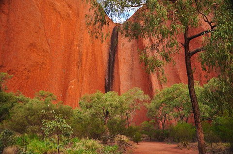 Uluru Sunrise And Guided Base Walk - Foster Accommodation 14
