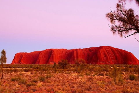Uluru Small Group Tour Including Sunset - Foster Accommodation 1