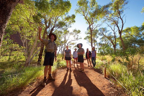 Uluru Small Group Tour Including Sunset - Foster Accommodation 5