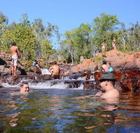 Litchfield and Jumping Crocodiles Full Day Trip from Darwin - Foster Accommodation