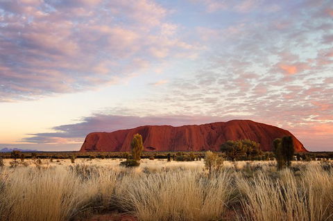 Uluru Base And Sunset Half-Day Trip With Optional Outback BBQ Dinner - Foster Accommodation 15
