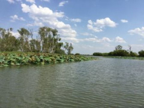 1 Day Corroboree Billabong Wetland Experience Including 2.5 Hour Cruise + Lunch - Foster Accommodation 4