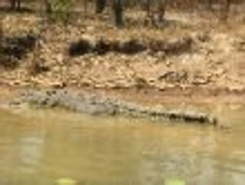1 Day Corroboree Billabong Wetland Experience Including 2.5 Hour Cruise + Lunch - Foster Accommodation 6