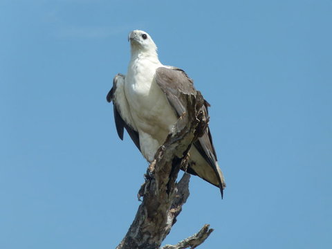 1 Day Corroboree Billabong Wetland Experience Including 2.5 Hour Cruise + Lunch - Foster Accommodation 2
