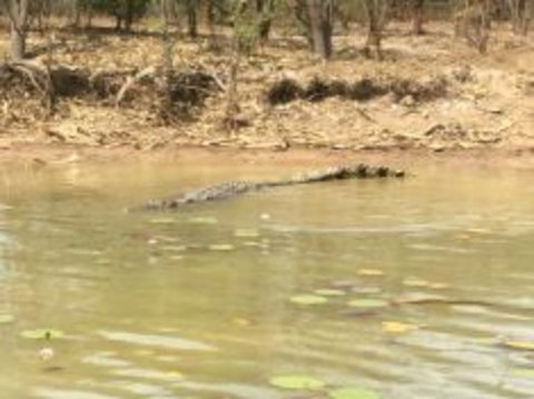 1 Day Corroboree Billabong Wetland Experience Including 2.5 Hour Cruise + Lunch - Foster Accommodation 5