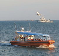 1-Hour Darwin Harbour Highlights Cruise - Foster Accommodation