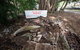 Bombing Of Darwin World War II Tour With Harbour Cruise - thumb 7
