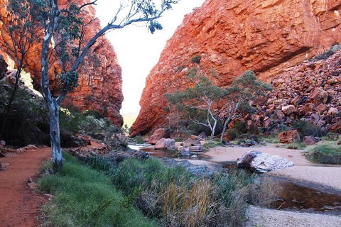 Half Day MacDonnell Ranges Small Group - Private Guided Tour - Foster Accommodation 0