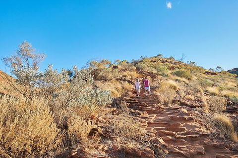 Kings Canyon Guided Rim Walk - Foster Accommodation 5