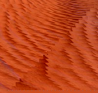 Overnight Uluru Adventure Safari - Foster Accommodation