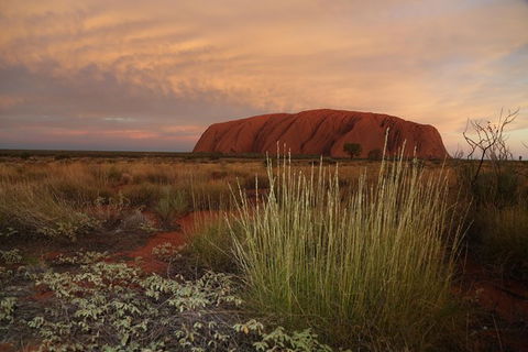 Coach Transfer From Kings Canyon Resort To Ayers Rock Resort - Foster Accommodation 7