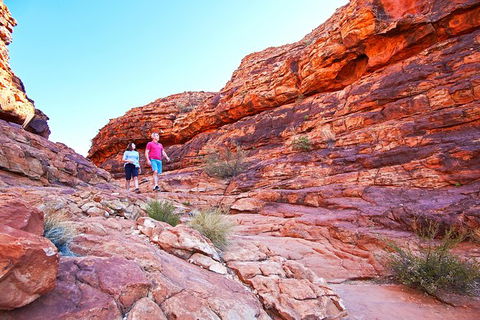 Coach Transfer From Kings Canyon Resort To Ayers Rock Resort - Foster Accommodation 6