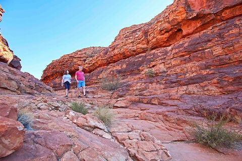 Uluru (Ayers Rock) And Kings Canyon In 3 Days - Foster Accommodation 14