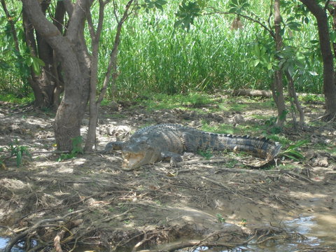 Kakadu, Nourlangie And Yellow Waters Tour From Darwin - Foster Accommodation 21