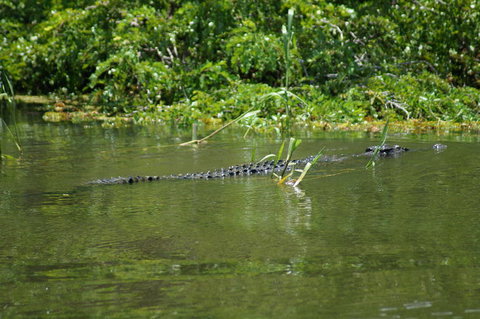 Kakadu, Nourlangie And Yellow Waters Tour From Darwin - Foster Accommodation 4