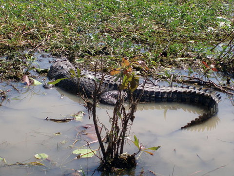 Kakadu, Nourlangie And Yellow Waters Tour From Darwin - Foster Accommodation 19