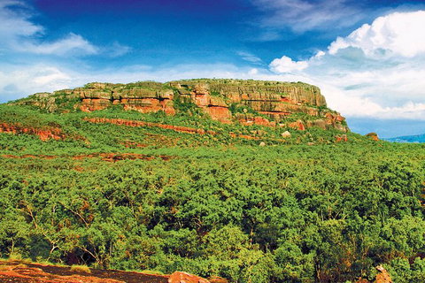 Kakadu, Nourlangie And Yellow Waters Tour From Darwin - Foster Accommodation 1