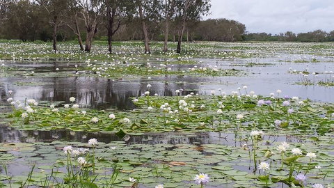 Kakadu, Nourlangie And Yellow Waters Tour From Darwin - Foster Accommodation 12