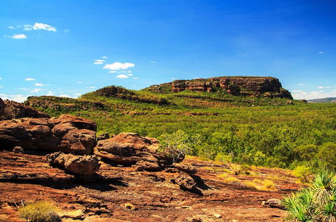Kakadu, Nourlangie And Yellow Waters Tour From Darwin - Foster Accommodation 34