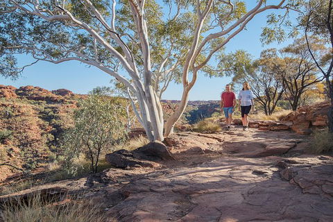 Coach Transfer From Kings Canyon To Alice Springs - Foster Accommodation 8
