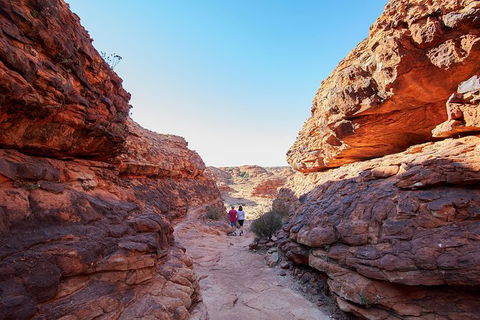 Coach Transfer From Kings Canyon To Alice Springs - Foster Accommodation 7