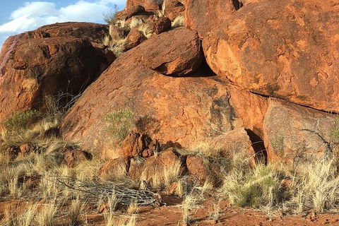 Aboriginal Homelands Experience From Ayers Rock Including Sunset - Foster Accommodation 9