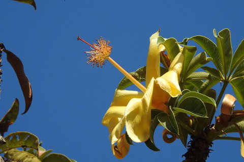 Walk The Darwin Botanic Gardens - Foster Accommodation 6