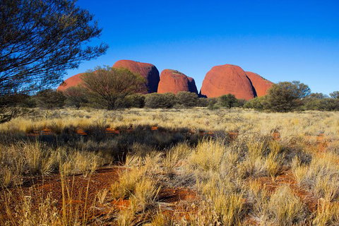 Ayers Rock 4 Tour Combo: Complete Uluru Base Walk At Sunrise, Valley Of The Winds At Sunrise, Kata Tjuta Sunset And Uluru Sunset - Foster Accommodation 12