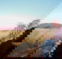 2-Day Uluru Ayers Rock and Kata Tjuta Trip from Alice Springs - Foster Accommodation