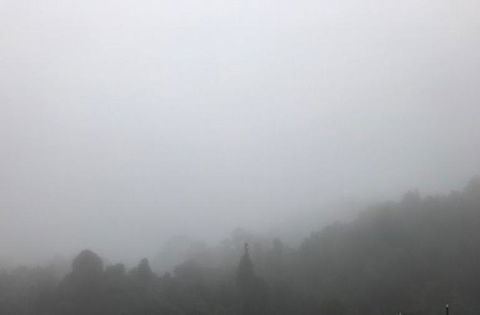 All Inclusive Blue Mountains Small-Group Day Trip From Sydney - Foster Accommodation 20