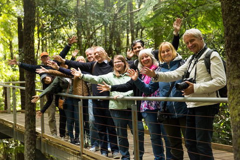 All Inclusive Blue Mountains Small-Group Day Trip From Sydney - Foster Accommodation 30
