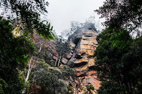 All-Inclusive Blue Mountains Day Trip With River Cruise - Foster Accommodation 3