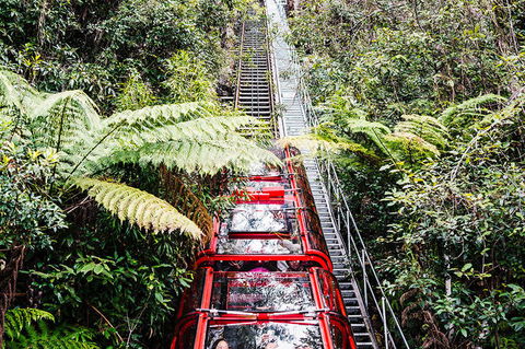 All-Inclusive Blue Mountains Day Trip With River Cruise - Foster Accommodation 6