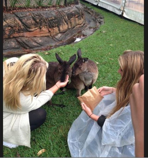 Port Stephens Day Tour With Dolphin Watching, Sandboarding & Australian Wildlife - Foster Accommodation 15
