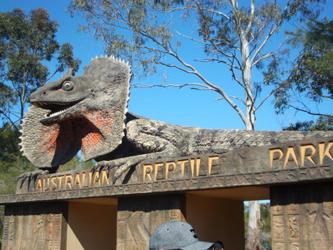 Port Stephens Day Tour With Dolphin Watching, Sandboarding & Australian Wildlife - Foster Accommodation 7