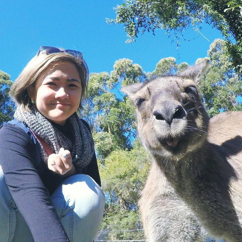 Port Stephens Day Tour With Dolphin Watching, Sandboarding & Australian Wildlife - Foster Accommodation 12