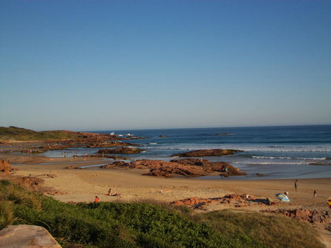 Port Stephens Day Tour With Dolphin Watching, Sandboarding & Australian Wildlife - Foster Accommodation 4