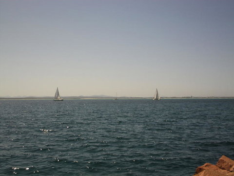 Port Stephens Day Tour With Dolphin Watching, Sandboarding & Australian Wildlife - Foster Accommodation 3