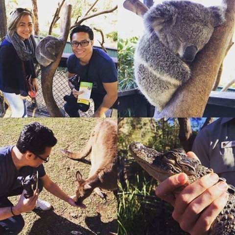 Port Stephens Day Tour With Dolphin Watching, Sandboarding & Australian Wildlife - Foster Accommodation 11