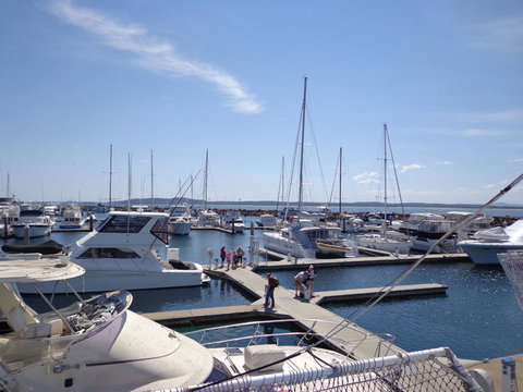 Port Stephens Day Tour With Dolphin Watching, Sandboarding & Australian Wildlife - Foster Accommodation 24